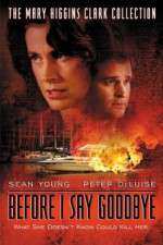 Watch Before I Say Goodbye Putlocker