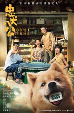 Watch Hachiko Putlocker