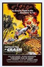 Watch Checkered Flag or Crash Putlocker