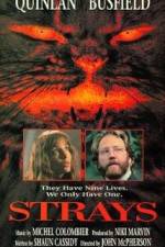 Watch Strays Putlocker