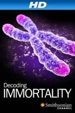 Watch Immortal Putlocker