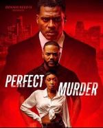 Watch Perfect Murder Putlocker