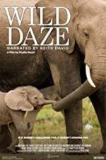 Watch Wild Daze Putlocker
