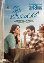 Watch Nannu Dochukunduvate Putlocker