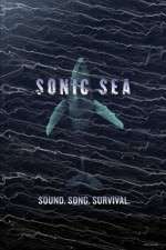 Watch Sonic Sea Putlocker