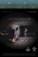 Watch A Vida Invis�vel Putlocker