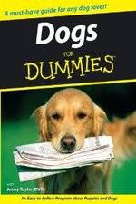 Watch Dogs for Dummies Putlocker