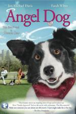 Watch Angel Dog Putlocker