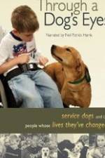 Watch Through a Dog's Eyes Putlocker