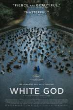 Watch Feh�r isten Putlocker
