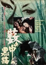Watch Black Cat Putlocker