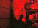 Watch Video Nasty Putlocker