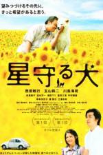 Watch Star Watching Dog Putlocker