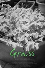 Watch Grass Putlocker