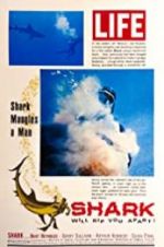 Watch Shark Putlocker