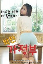 Watch A Nice Housekeeper Putlocker